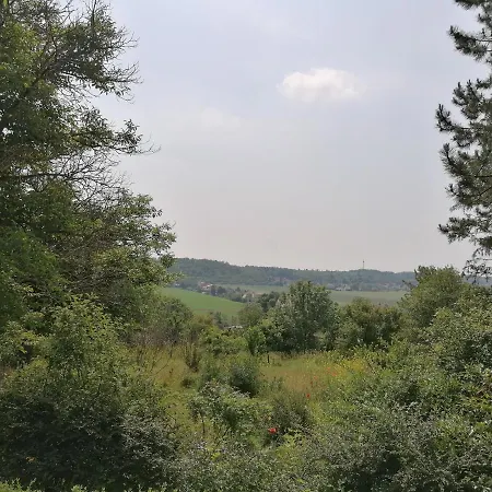 Bungalow Salzablick