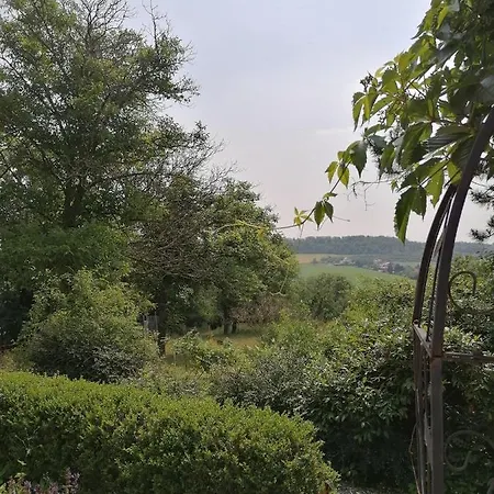 Bungalow Salzablick Holiday home *