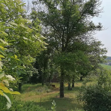 Bungalow Salzablick Holiday home *