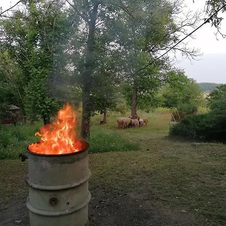 Bungalow Salzablick Holiday home *